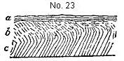 [Illustration:
Diagram described in note 23.]