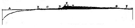 [Illustration:
Vertical section of one of the low islets.]