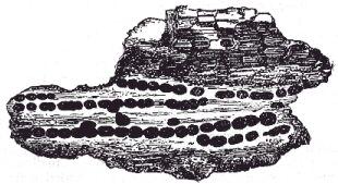[Illustration:
Opaque brown sphærulites, drawn on an enlarged scale.]
