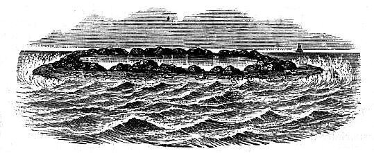 [Illustration:
Whitsunday Island]