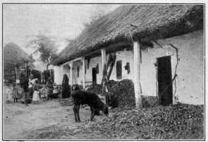 Photograph from Henry Ruschin
VILLAGE SCENE IN HUNGARY
These women and children struggled to keep food production close to normal, but failed.