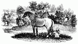 FIG. 62.&mdash;The Frightened Mother. From Bewick’s “British
Quadrupeds.”