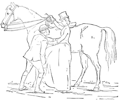 Fig. 17.&mdash;Lady ready to mount her horse.