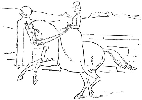 Fig. 31.&mdash;Entering upon the Canter with the Right Leg leading.