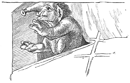 Fig. 15.&mdash;Snouted Demon.