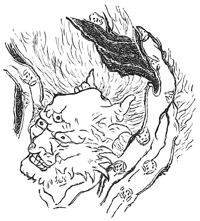 Fig. 7.&mdash;Japanese Demon.
