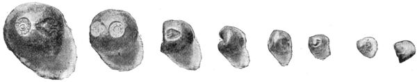 SIAMESE BULLET-MONEY&mdash;WEIGHING AN OUNCE DOWNWARDS.