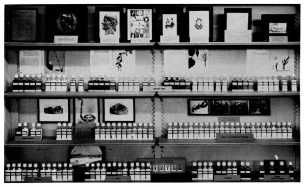 Figure 13.&mdash;Early exhibit on homeopathy.