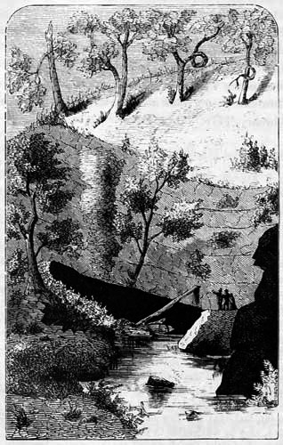 THE CAVE IN
SINKING VALLEY