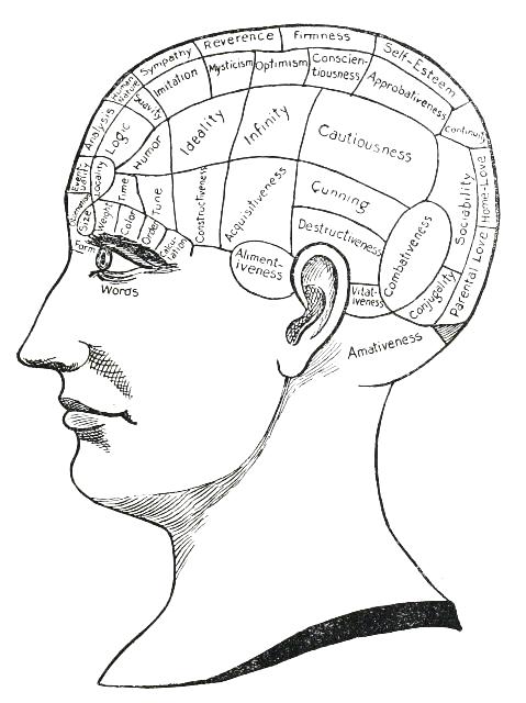 Fig. 1

THE MENTAL QUALITIES