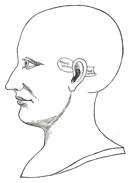 Fig. 4

THE VITATIVE QUALITIES