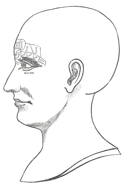 Fig. 9

THE PERCEPTIVE QUALITIES