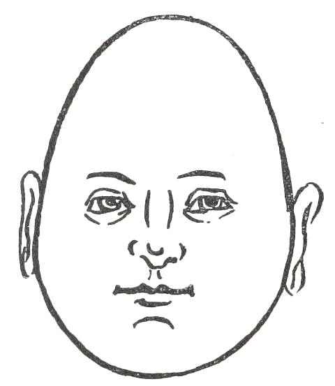 Fig. 17

INVERTED EGG-SHAPED FACE