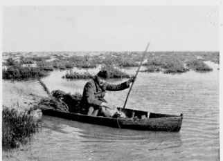 Gunning-punt in the Marisma.

(NOTE THE HALF-SUBMERGED SAMPHIRE-BUSHES.)
