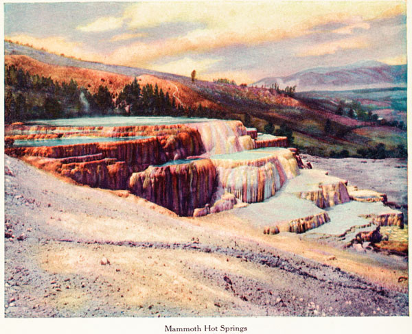 
Mammoth Hot Springs