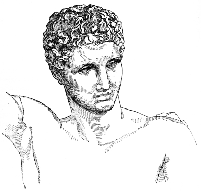 Fig. 228.&mdash;Head of the Hermes of Praxiteles.