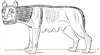 Fig. 260.&mdash;Capitoline Wolf.