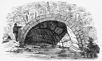 Fig. 266.&mdash;Cloaca Maxima.