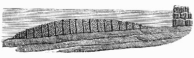 T�nevi�re of Hauterive