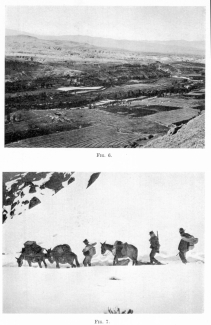 Fig. 6&mdash;Irrigated Chili Valley on the outskirts of
Arequipa. The lower slopes of El Misti are in the left background. The
Alto de los Huesos or Plateau of Bones lies on the farther side of the
valley.