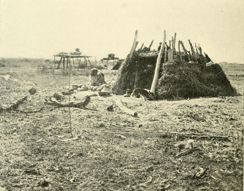 A Cocopa Dwelling,
near Mouth of the Colorado.