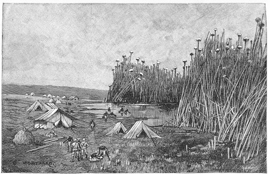 SOUTHWEST EXTREMITY OF LAKE VICTORIA NYANZA. SOUTHWEST EXTREMITY OF LAKE VICTORIA NYANZA.