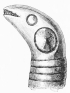 No. 170. A Serpent’s Head, with horns on both sides, and
very large eyes (6 M.).