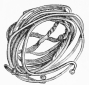 No. 281. Six golden Bracelets welded together by the
conflagration.&mdash;[TR.]