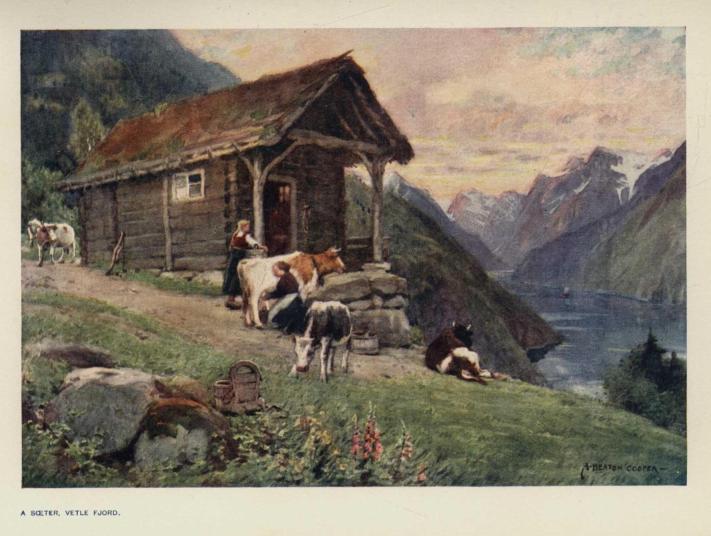 A s�ter, Vetle Fjord