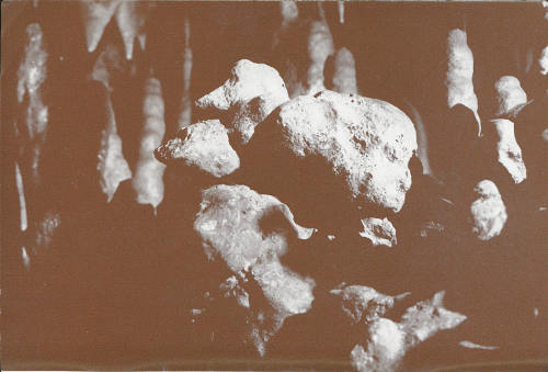 The &ldquo;duck&rdquo; results from irregular resistance of the limestone to solution by ground water. These nodular masses were more resistant and the less-resistant, usually softer limestone has been removed from about them, leaving the form resembling a duck. Several stalagmites are in the background. These are younger than the &ldquo;duck.&rdquo;