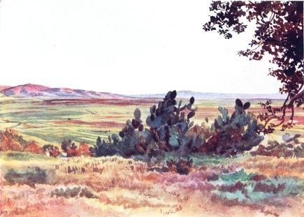 THE PLAIN OF ESDRAELON, FROM FOOT OF TABOR, WITH THE
VILLAGE OF NAIM IN DISTANCE

Plain full of green wheat. Mountain to left is “Little Hermon,” on which
the village of Naim stands. Towards sunset.