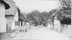 THE SLAVIC HOME IN HUNGARY

A peaceful, little village surrounded by fields of poppies and maize.