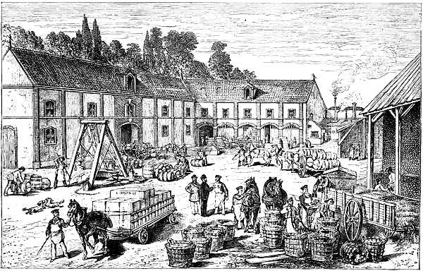 Ernest Irroy&rsquo;s Establishment