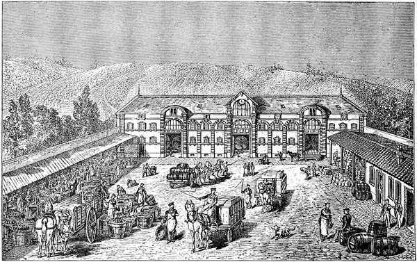 M. Duminy&rsquo;s Establishment