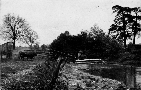 The vicinity where Mr. Howells lived his “Year in a
Log Cabin.” The cabin stood near the two pines