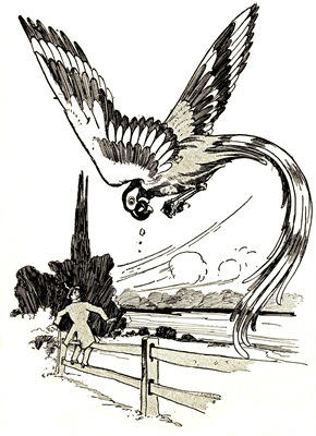 John turned his head and looked at the bird
earnestly.