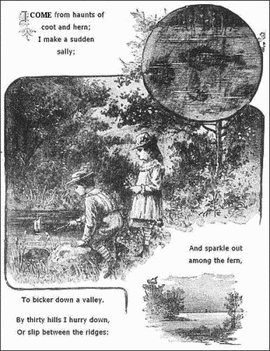 I come from haunts of coot and hern;
    I make a sudden sally;
  And sparkle out among the fern,
    To bicker down a valley.