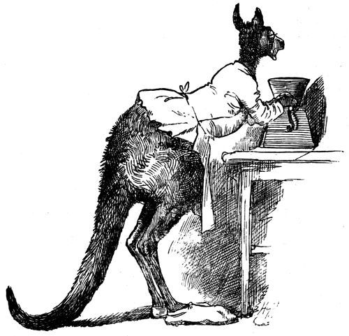 &lsquo;HE THOUGHT HE SAW A KANGAROO&rsquo;