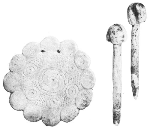 Gorgets were made of the outer shell, and large beads and these knobbed &ldquo;ear bobs&rdquo; from the inner whorl of the marine whelk, or conch. &ldquo;Ear bobs&rdquo; about 5 inches long.