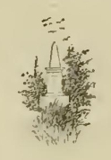 a6786 