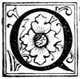 Q