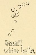 Small
white balls.