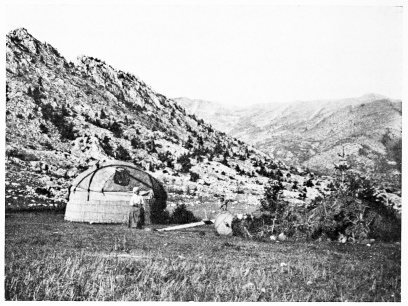 Fig. 229.&mdash;AVSHAR ENCAMPMENT.