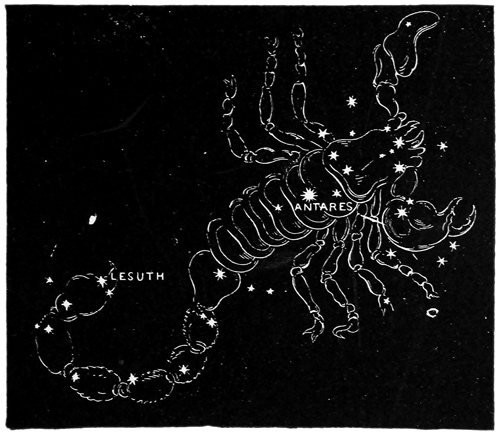 THE SCORPION.