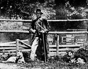Sch�ferhunde