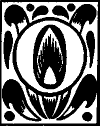 �O