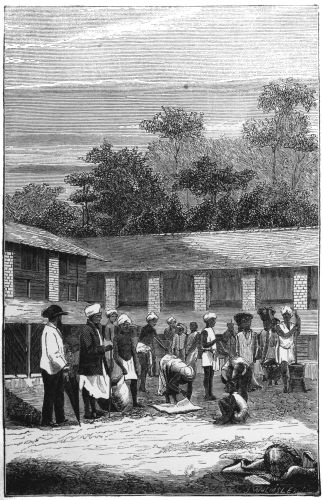 Plate 9.&mdash;The Barbecue, or Drying-Floor, Messrs. Worms’
Estates, Puselawa.