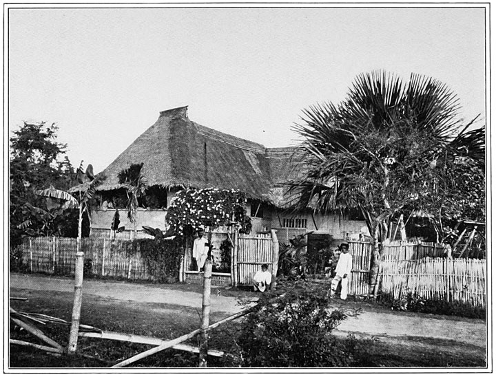 Cool, but Combustible. A Typical Nipa House.