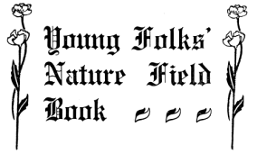 Young Folks'
Nature Field Book