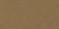 XXIX_17′′_k_Saccardo's_Umber